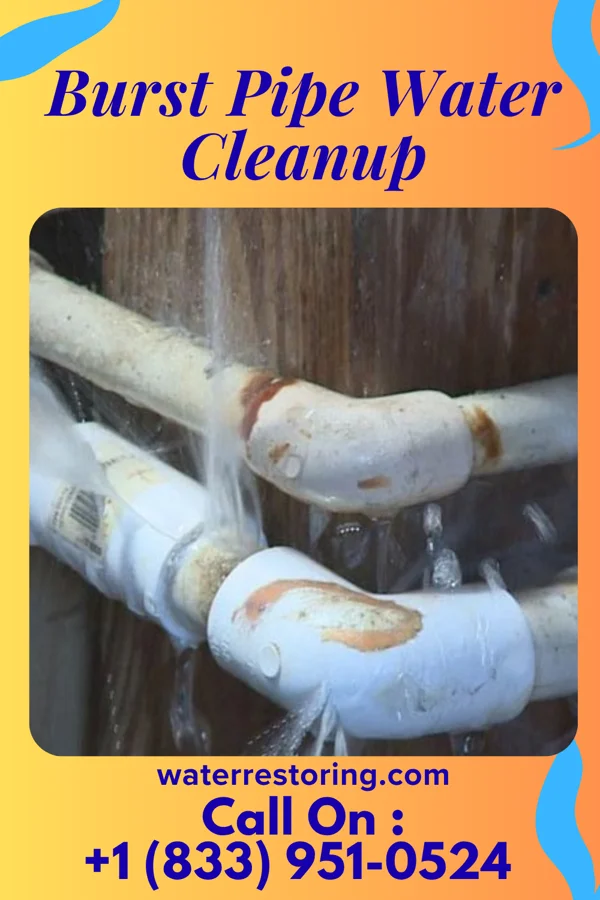 Burst Pipe Water Cleanup in Bay St. Louis, MS