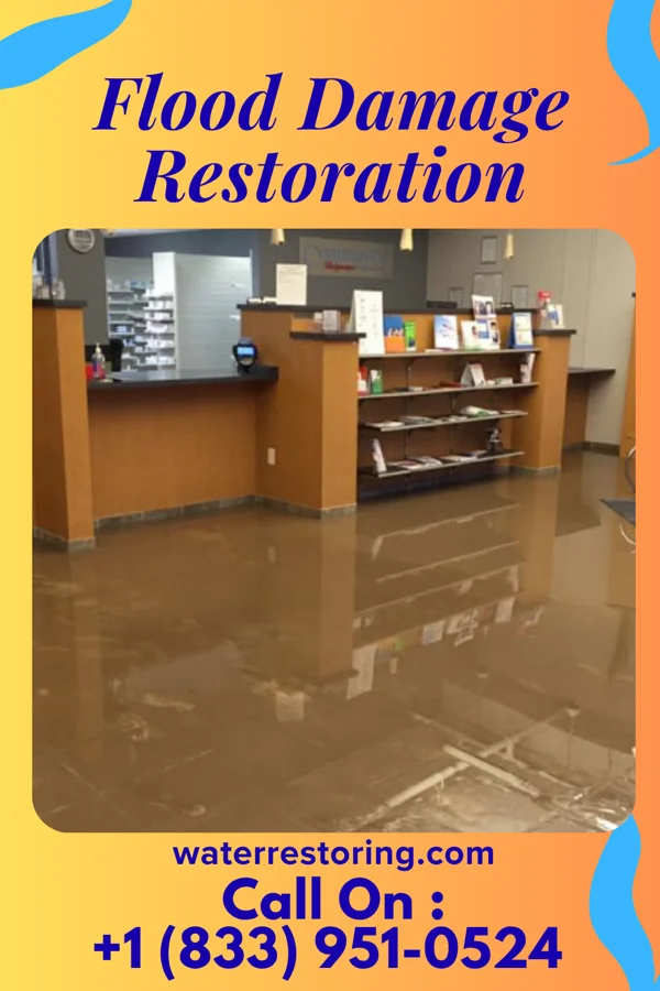 Flood Damage Restoration in Bay St. Louis, MS