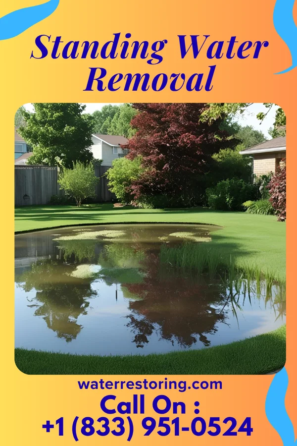Standing Water Removal in Bay St. Louis, MS